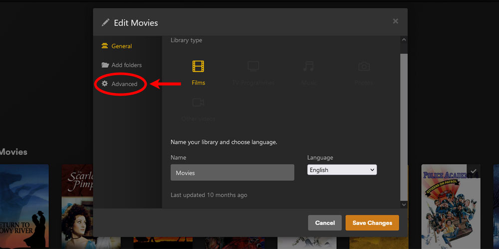 Plex Edit Movies Library Advanced Option.